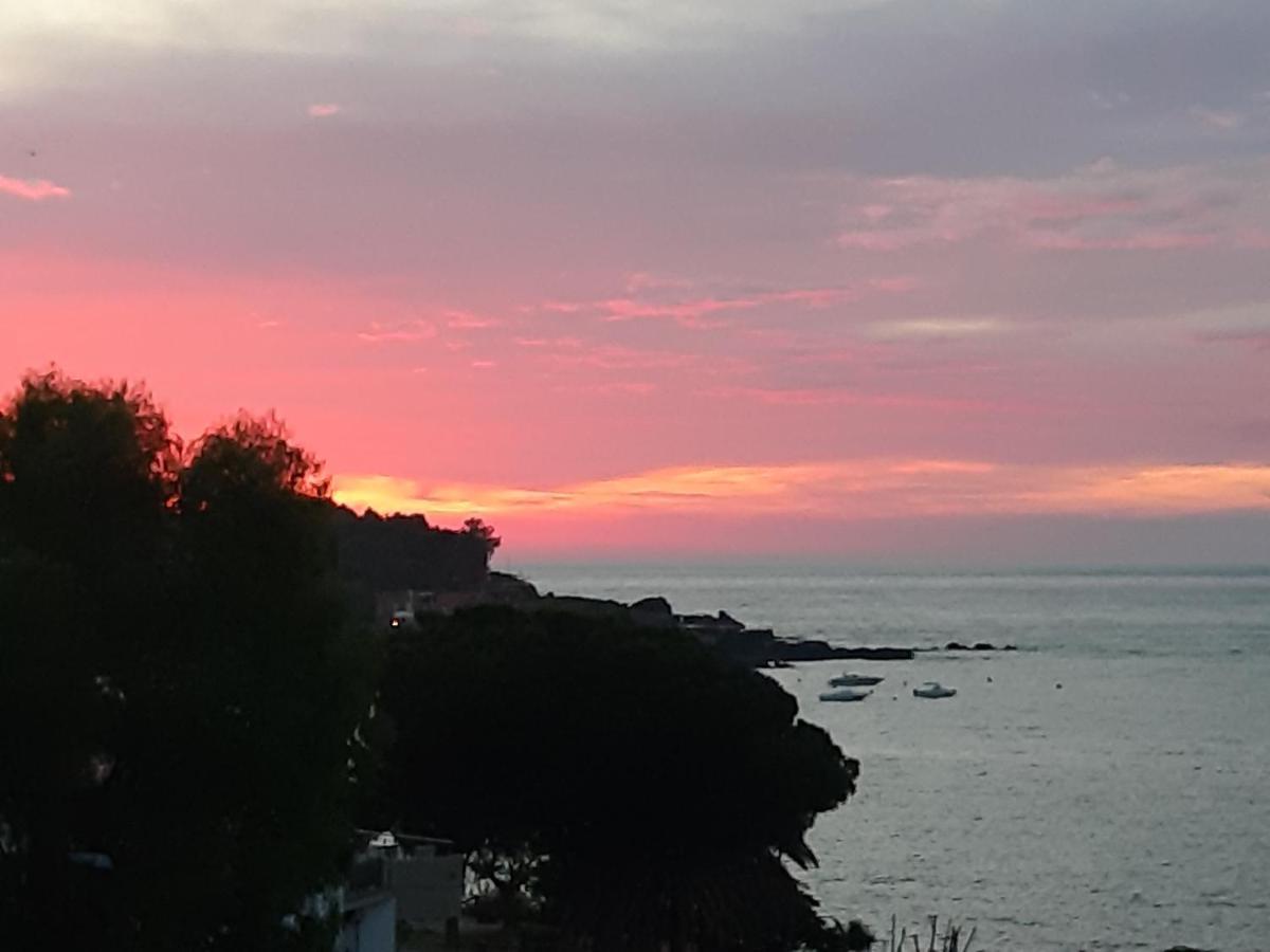 B&B Sea Terrace Aci Castello Eksteriør bilde